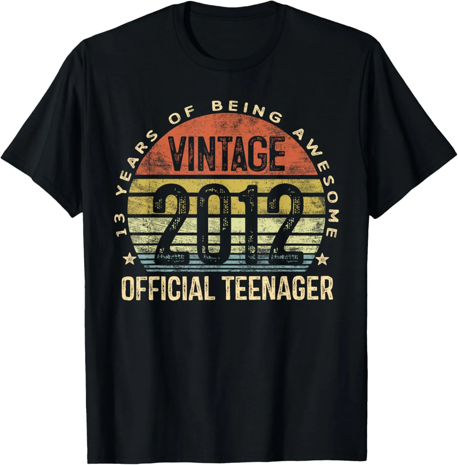 Vintage 2012 Official Teenager 13th Birthday Gifts 13 Yr Old T-Shirt